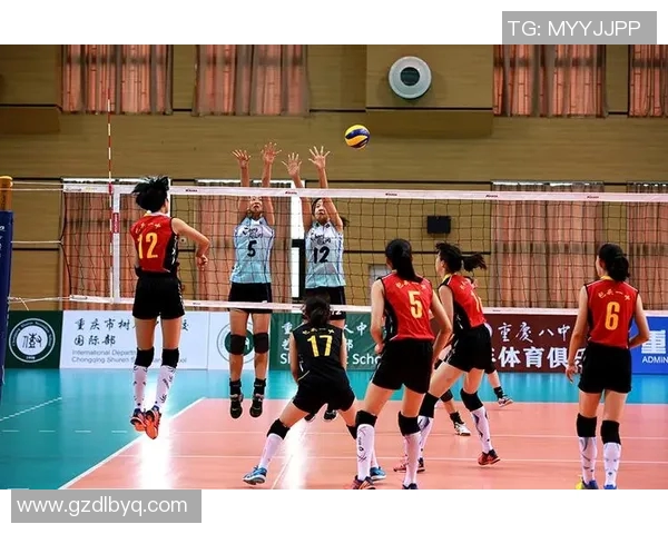 重庆排球队的奋斗历程与洲际杯荣耀之路全景回顾