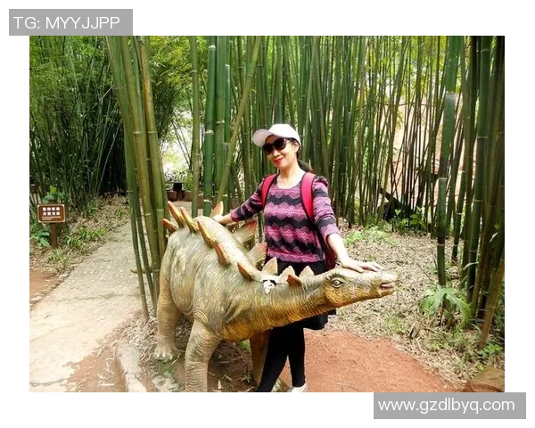 南京攀岩队区域防守战术解析与实战应用探讨