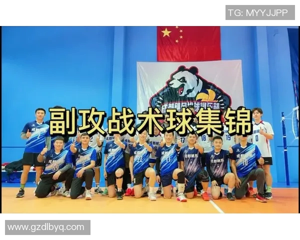 杭州排球队反击战术解析与实战应用探讨