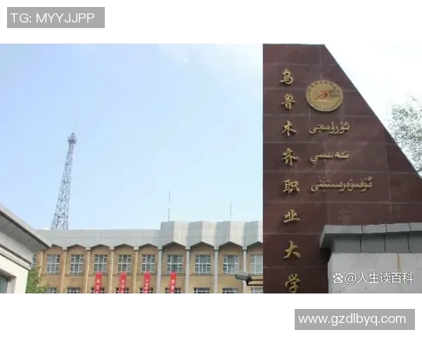 王少杰的成长之路与职业生涯探索：从青涩少年到篮球场上的璀璨明星